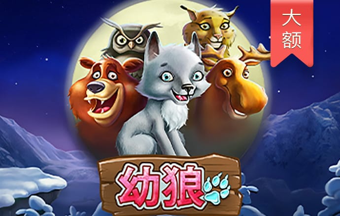 新澳门一码精准必中大公开网站